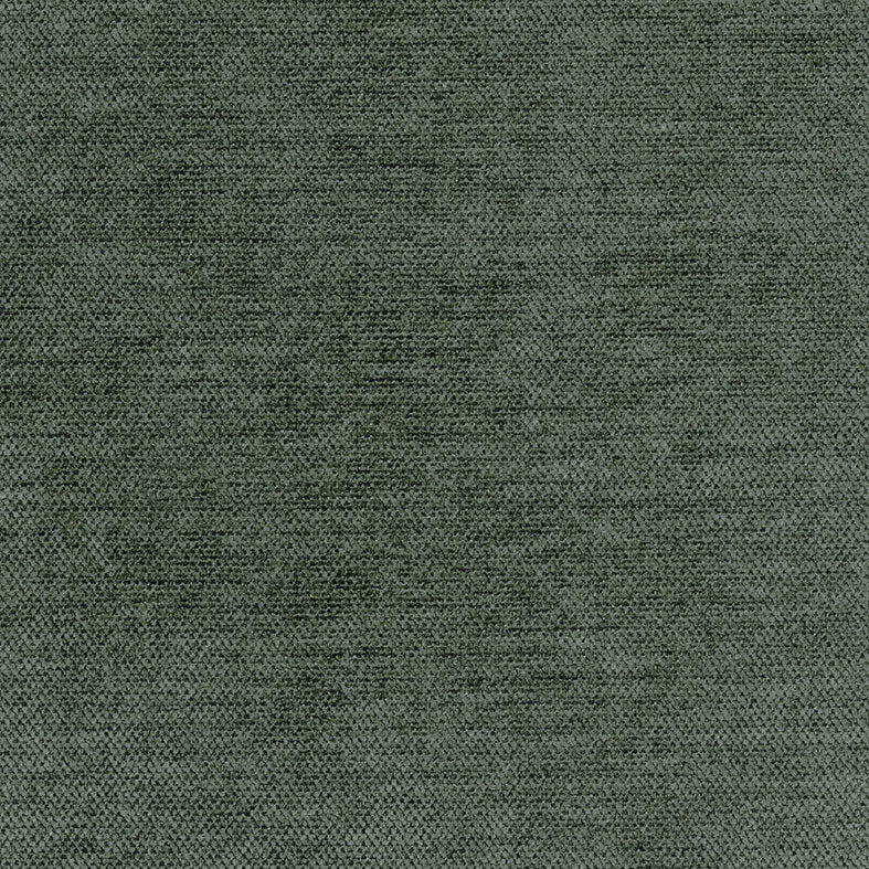 Armadale Spruce