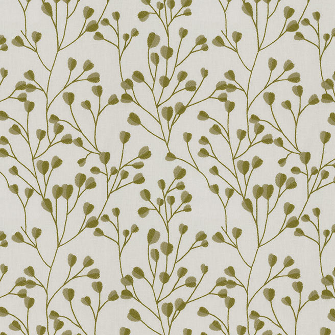 Kamilla Olive
