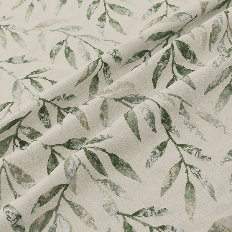 Hiroshi Spruce