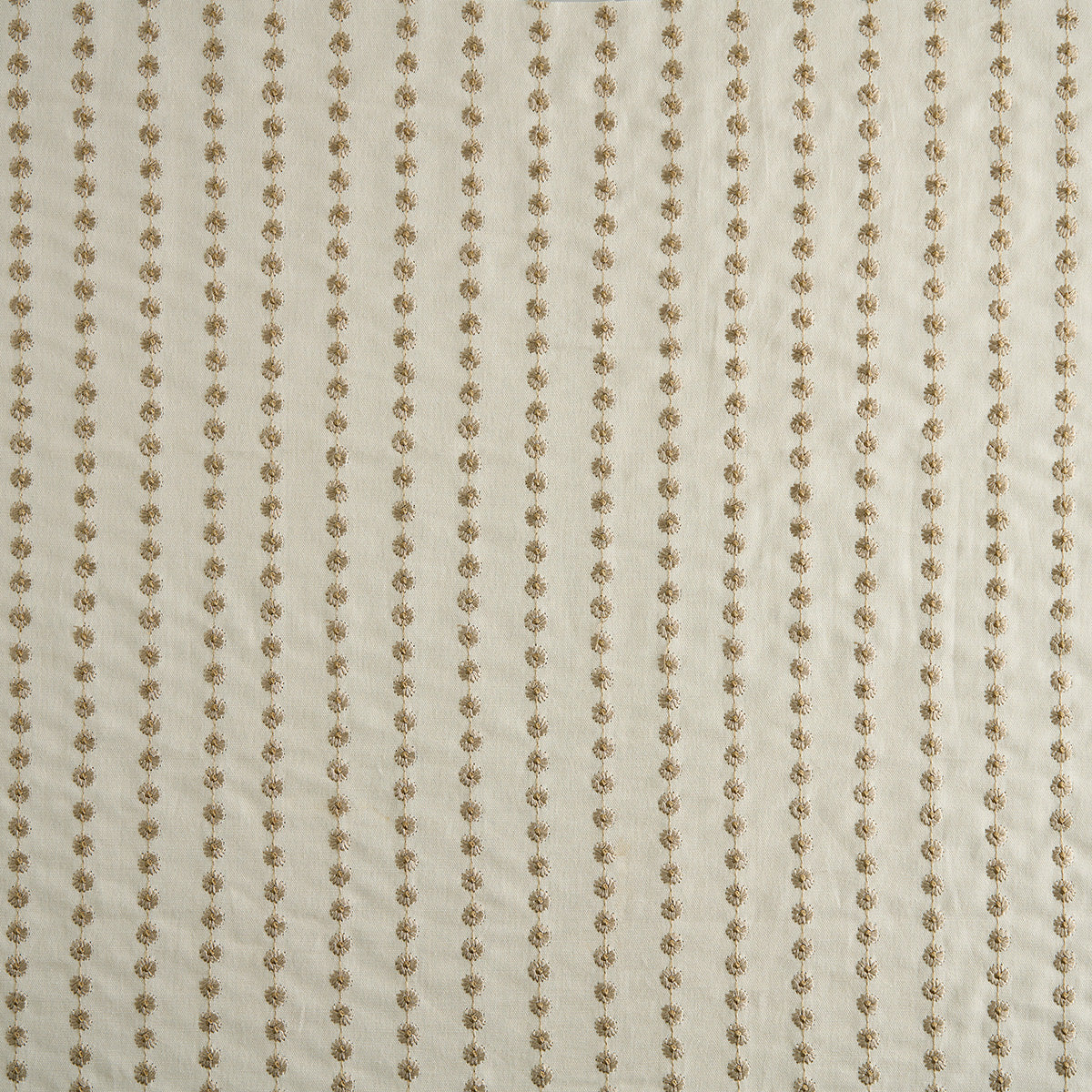 Marcie Macadamia