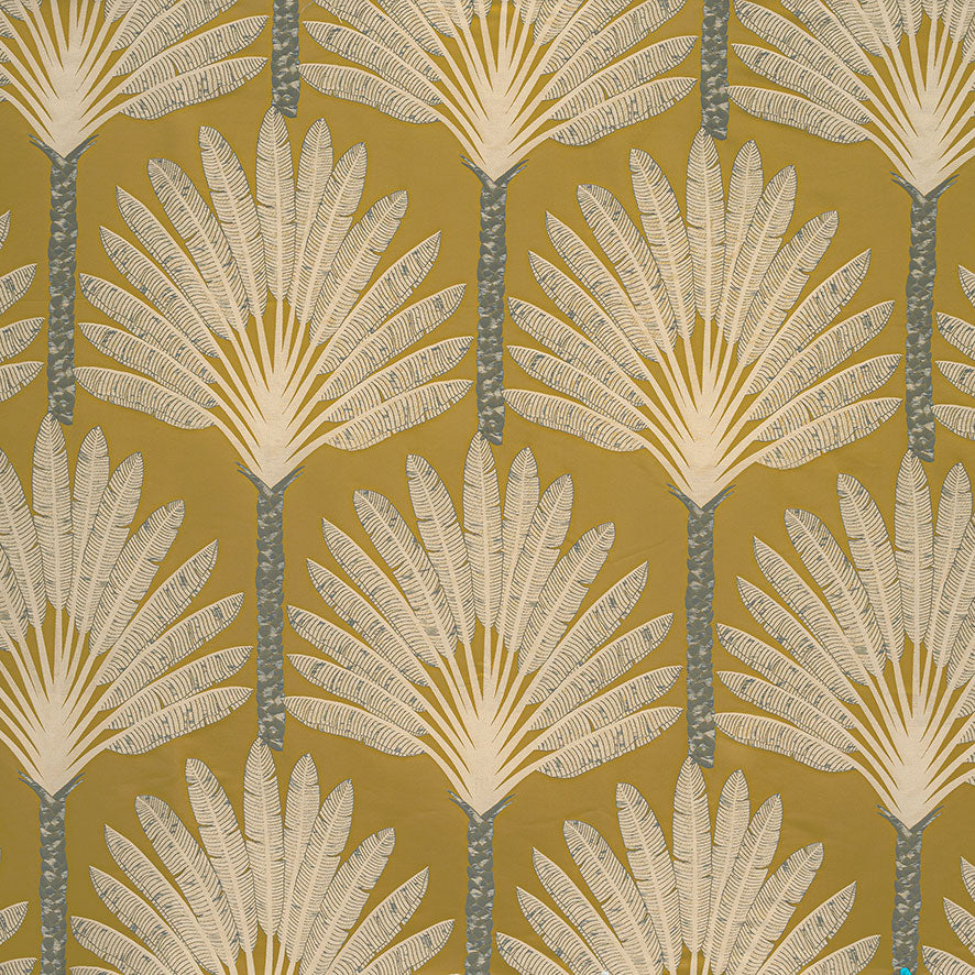Medjool Ochre