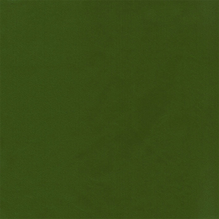 Koji Fern