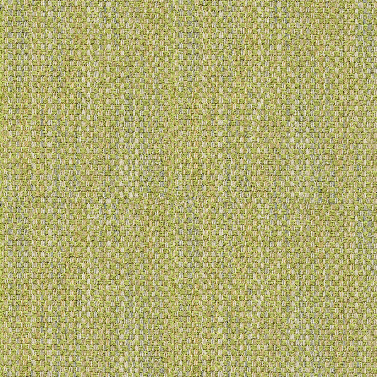LF2458C 11 Lime