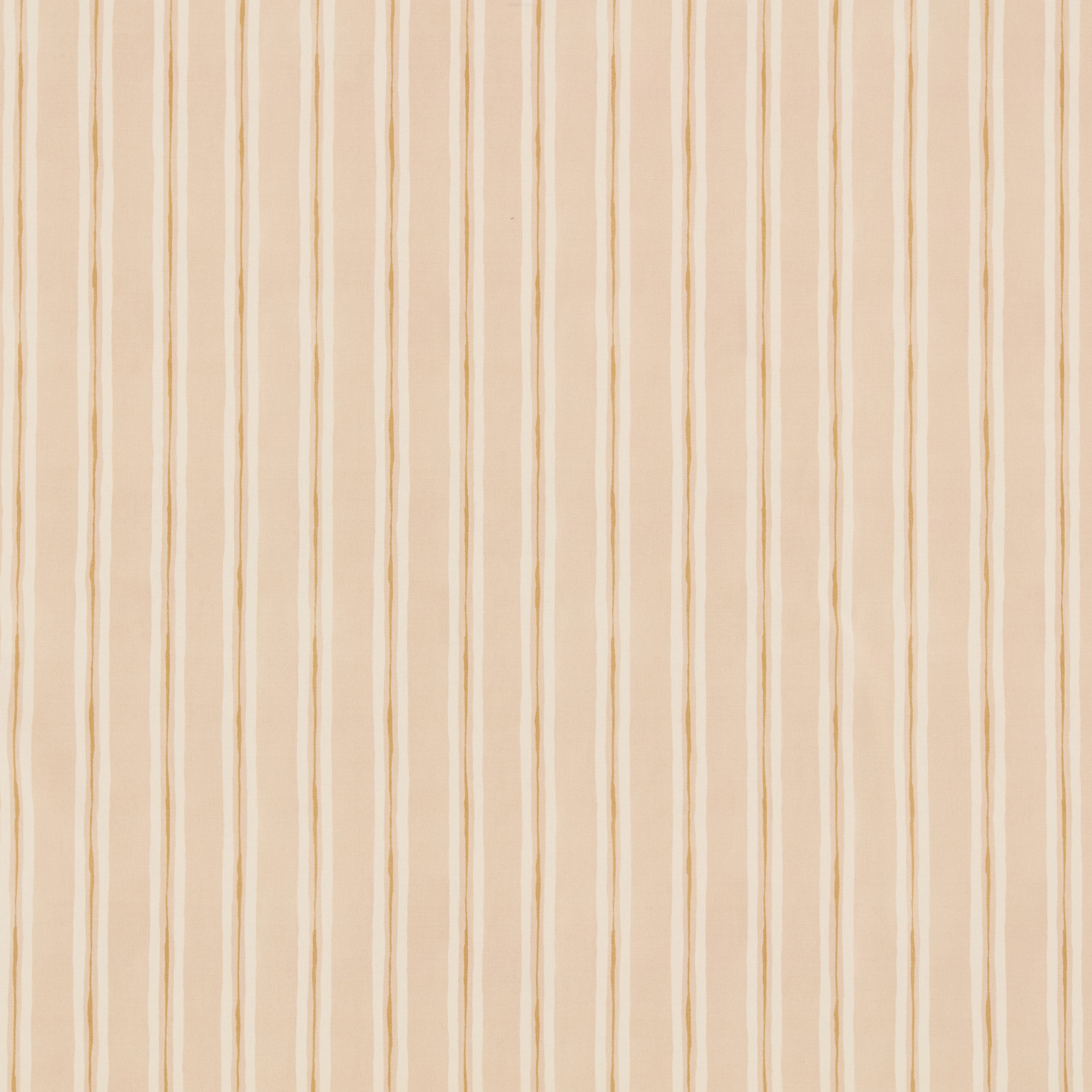 Nell Plaster