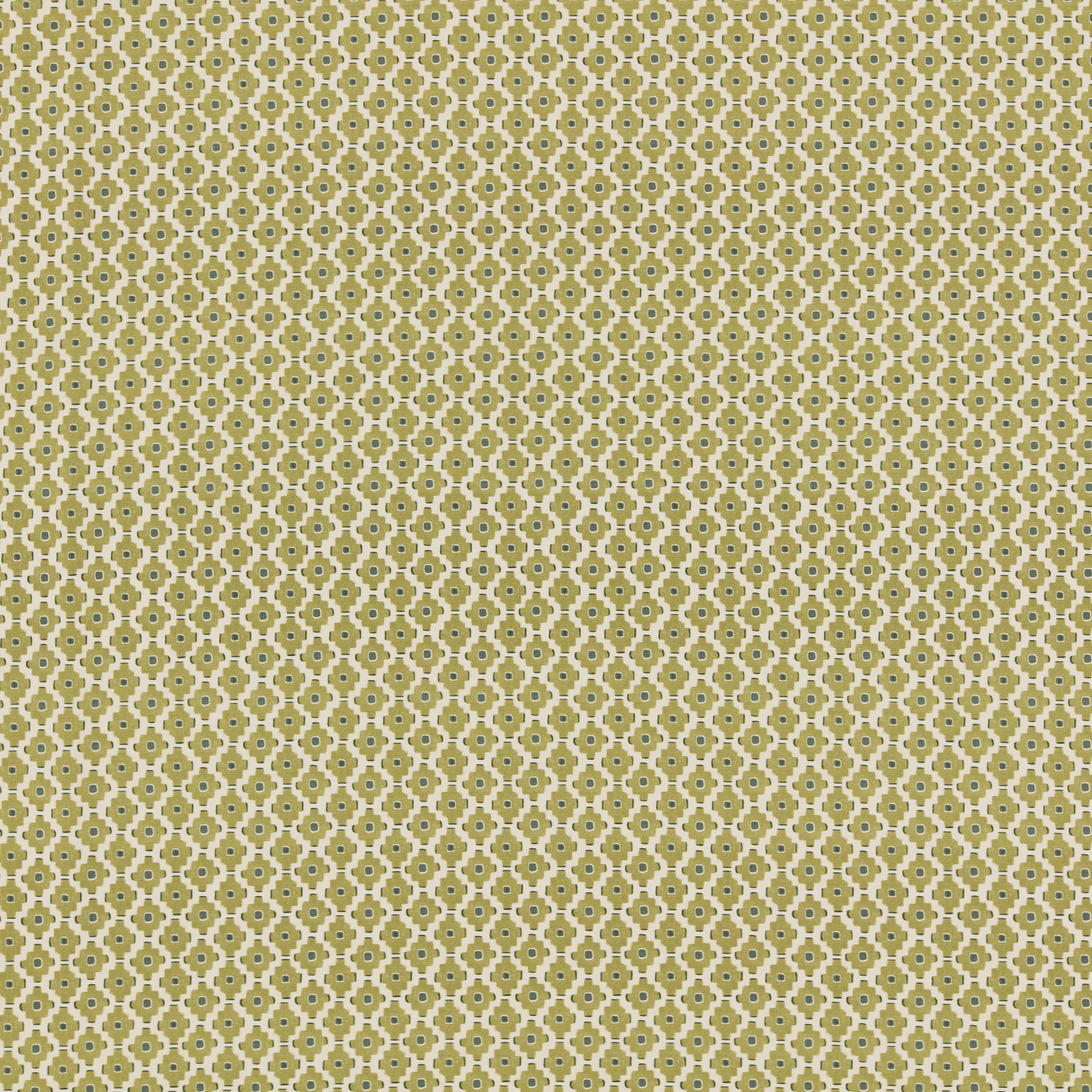 Rory Pistachio