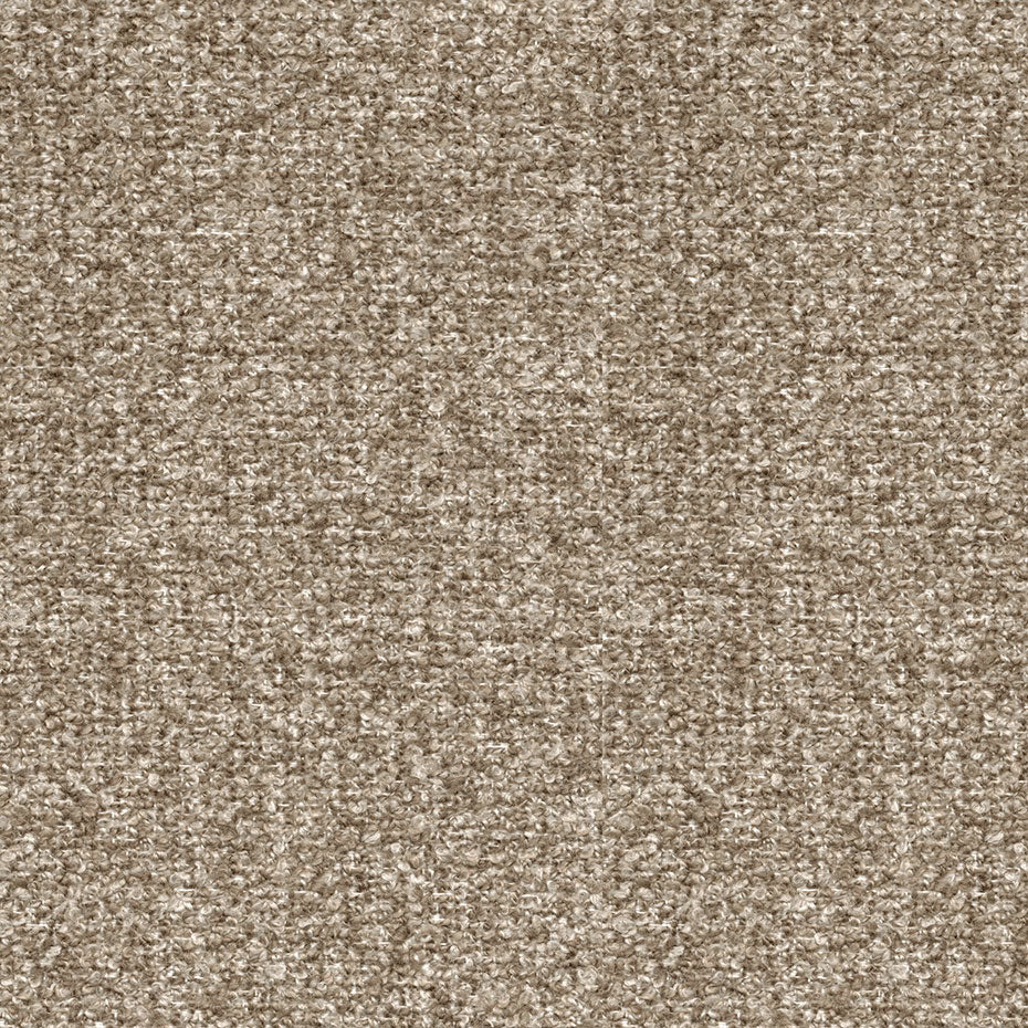 Regent Barley