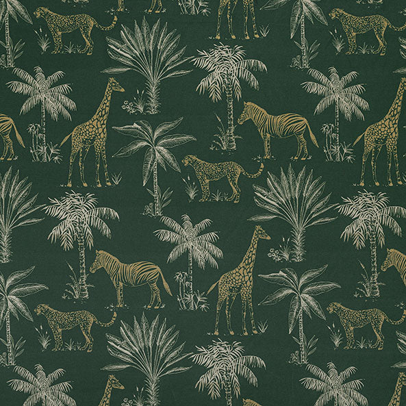Safari Fern