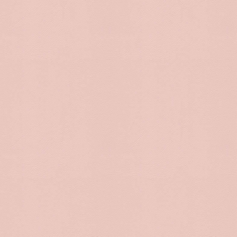 Studio+ (Encore) Petal