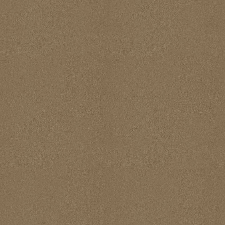 Studio+ (Encore) Truffle