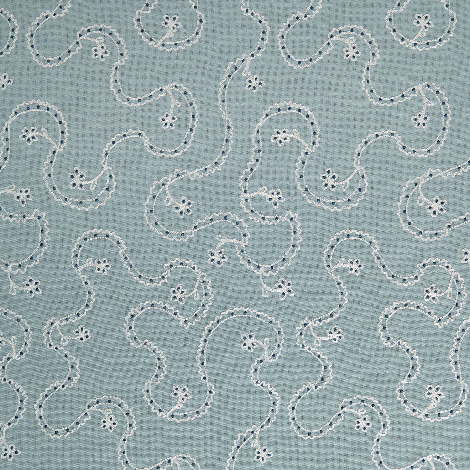 LF2491C Lysander 3 Hosta