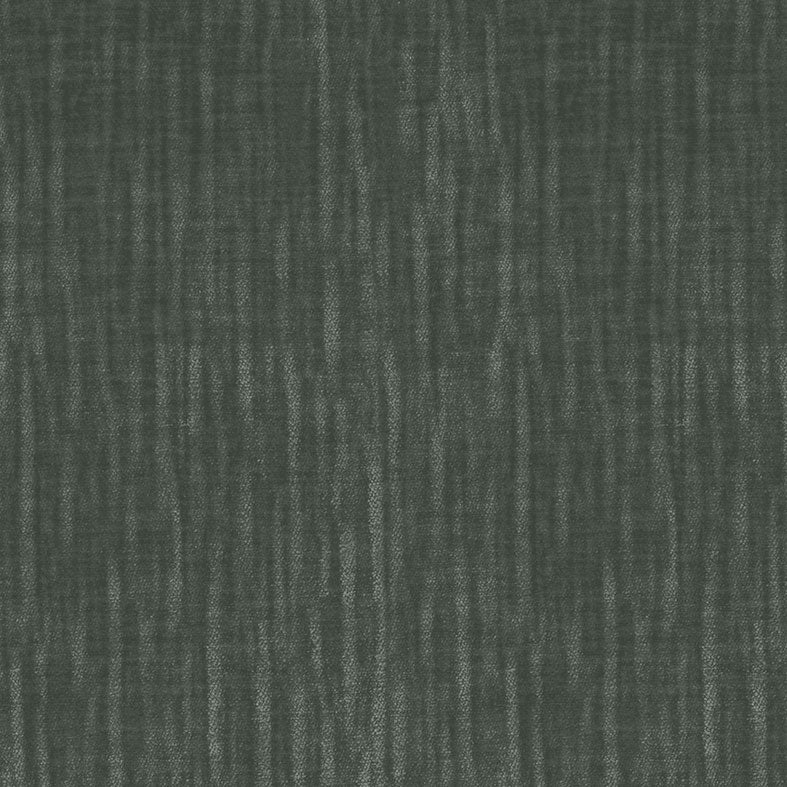 Venus Evergreen