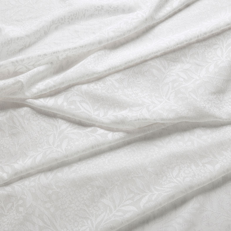 Michaelmas Daisy Sheer Chalk