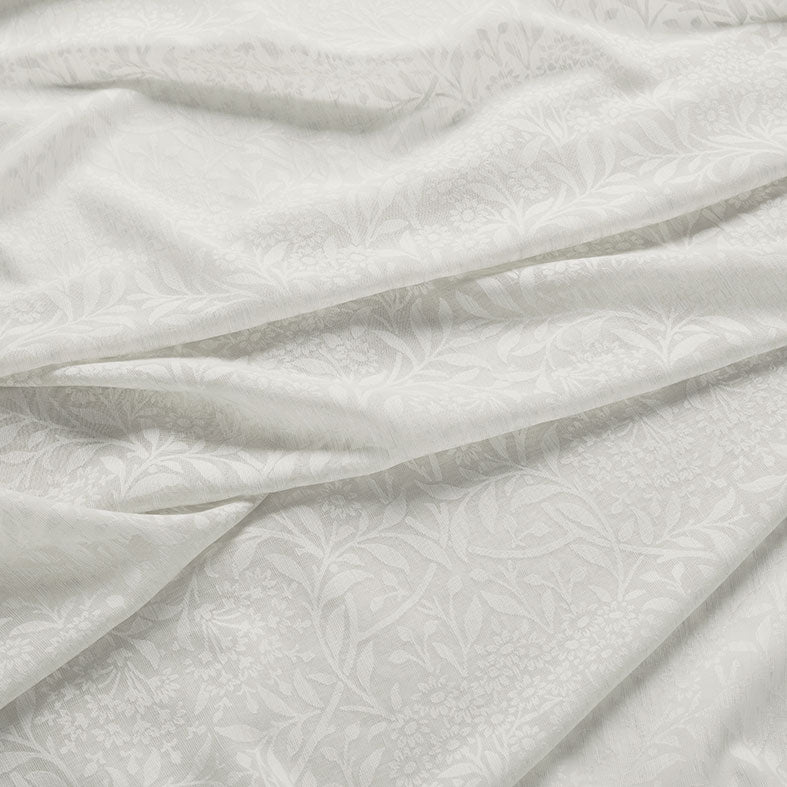 Michaelmas Daisy Sheer Oat