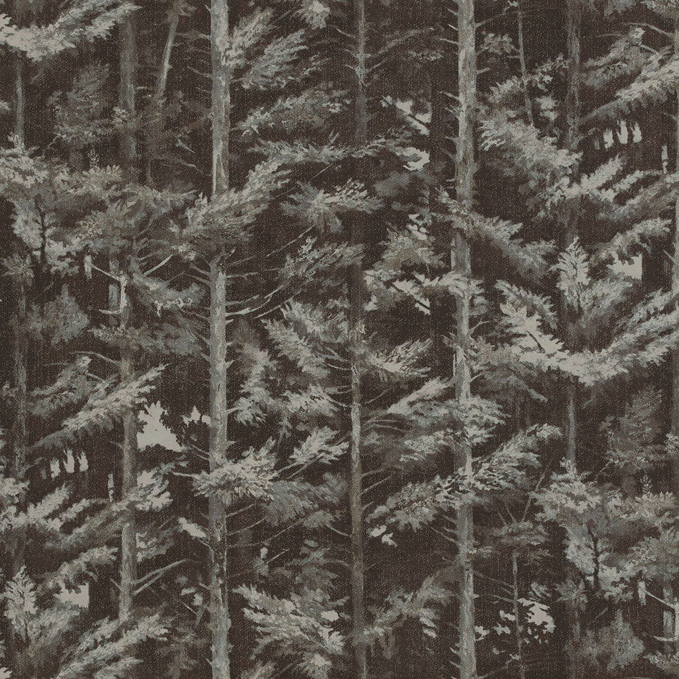 Balsham Bark