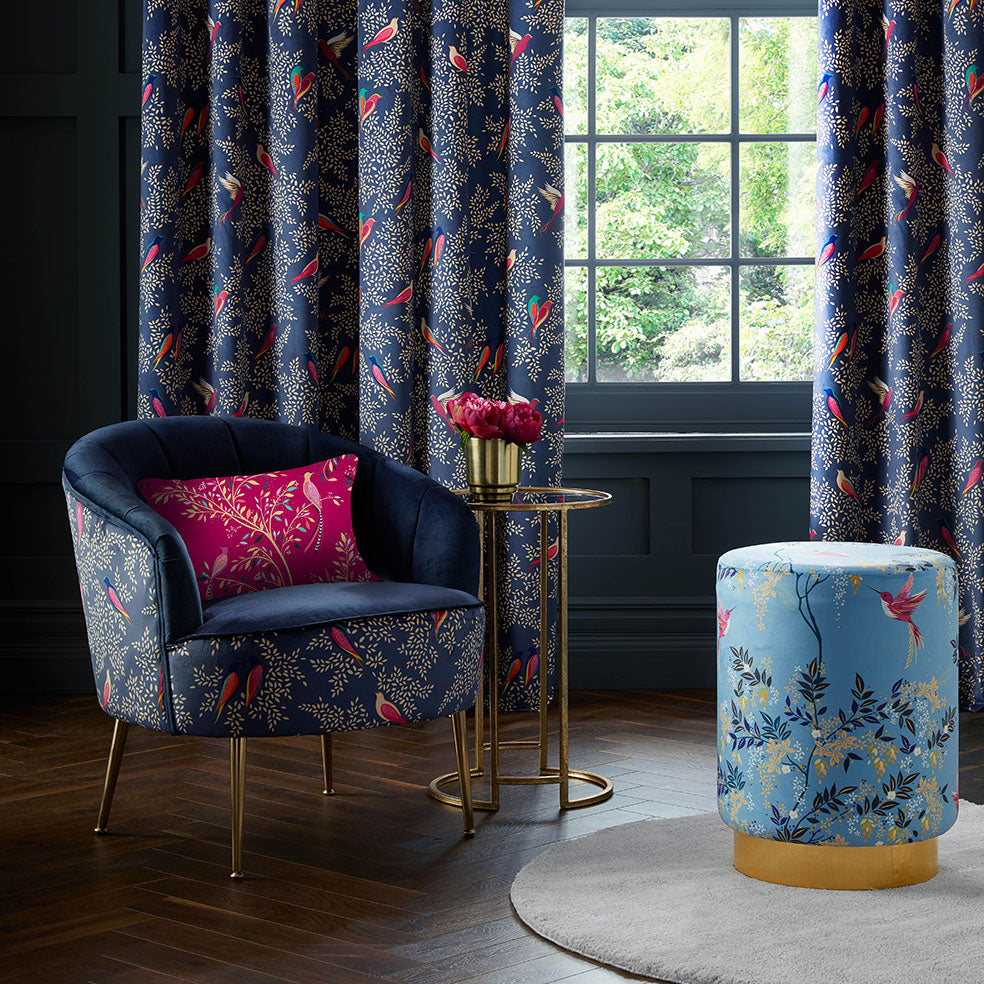 Hummingbird Velvet Cornflower Blue
