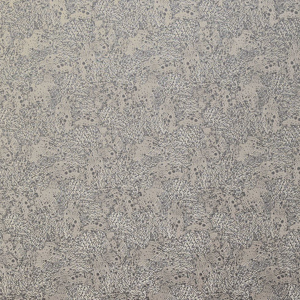 Dolomite Fossil