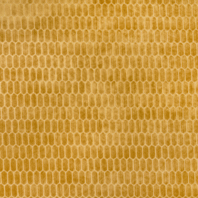 Rialta Pollen