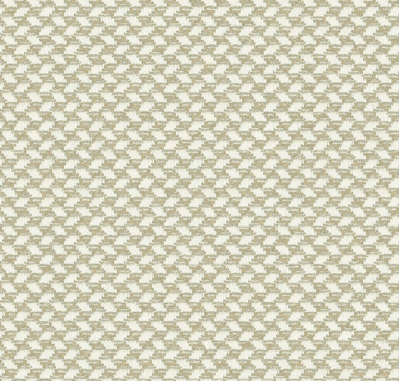 LF2118C Vega 1 Mouse