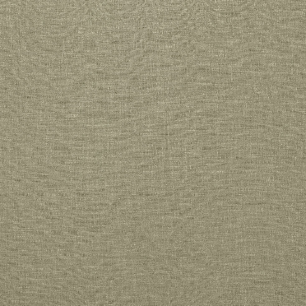 Loire Olive