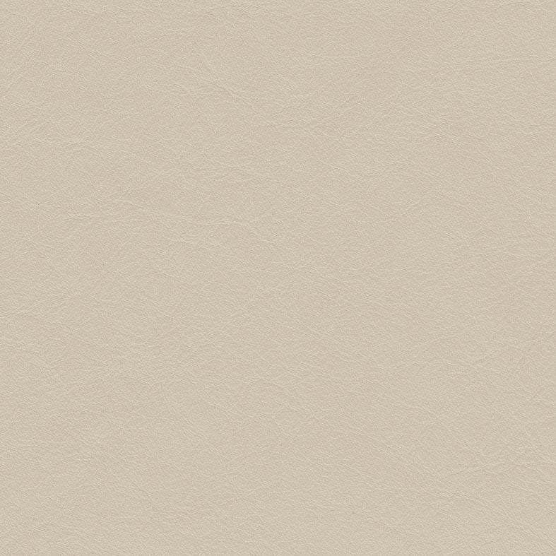 Matisse Parchment