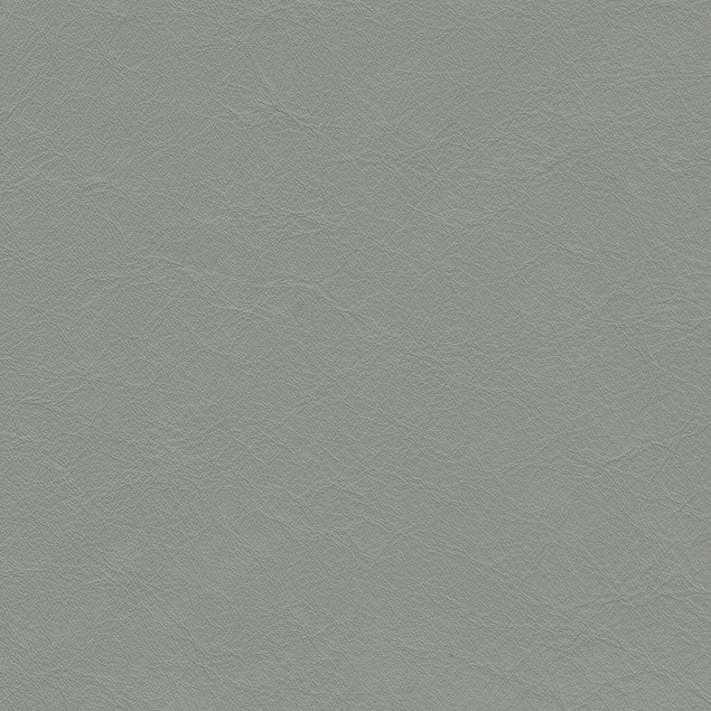 Matisse Silver