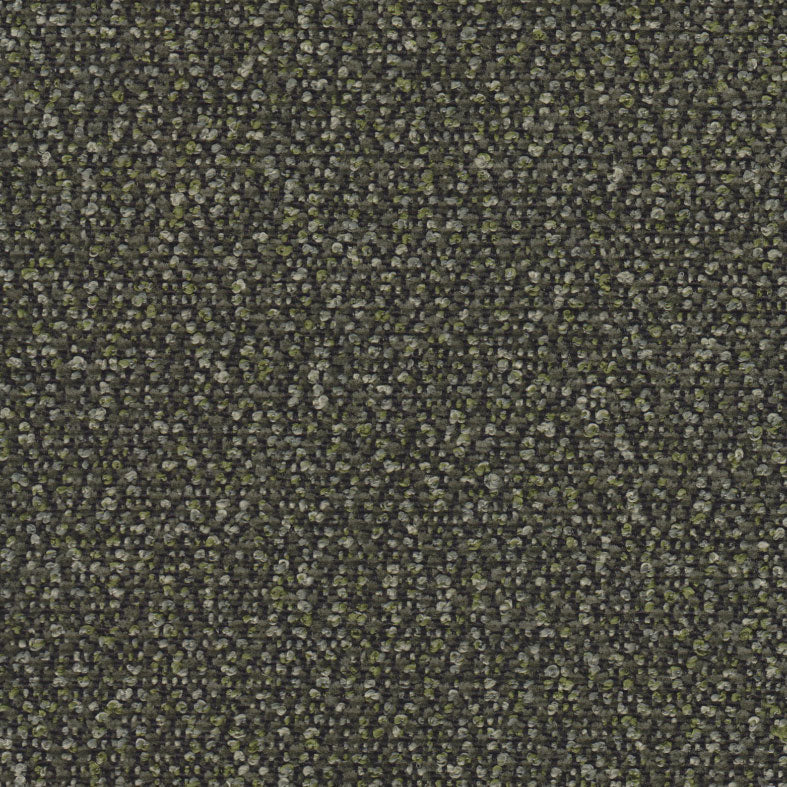 Provence Olive