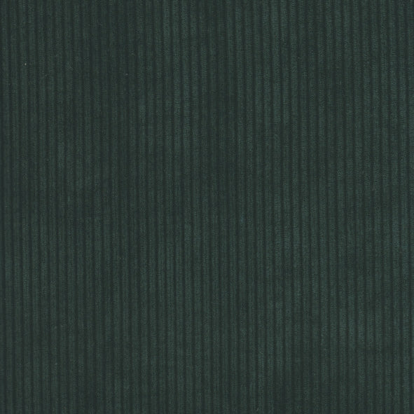 Aspen Forest