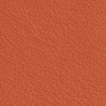 Brezza Carota
