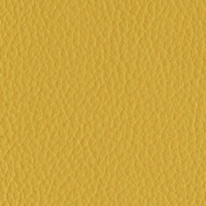 Brezza Mango