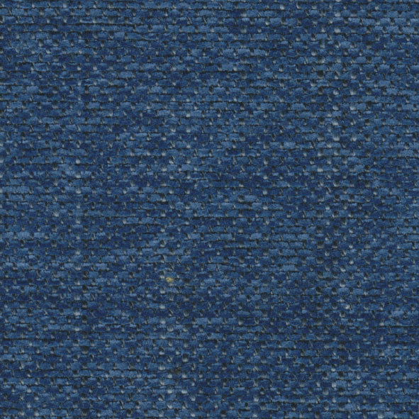 Daria Denim