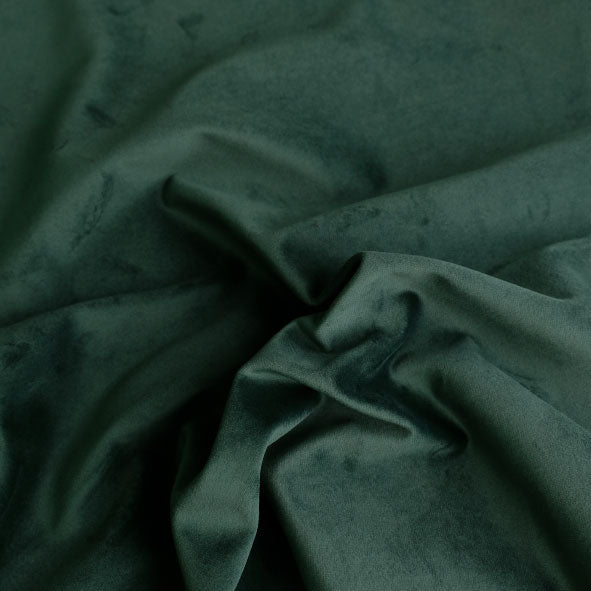 Glamour Spruce
