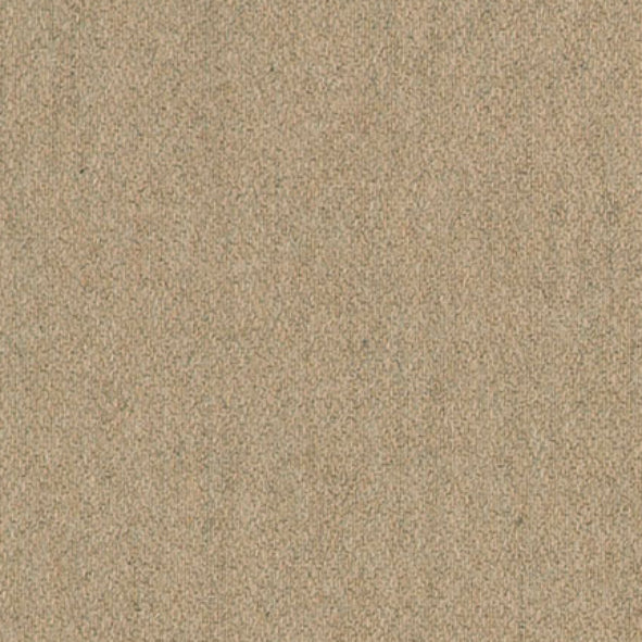 LF1921FR 6 Desert