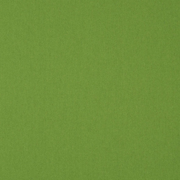 LF1921FR 36 Lime Green