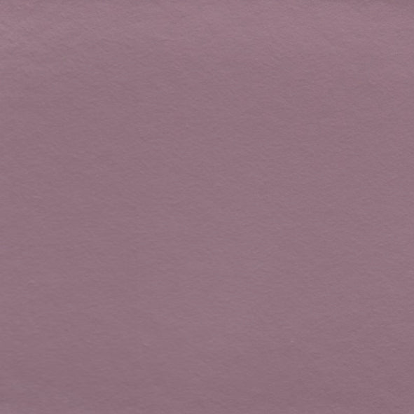 Libeccio Glicine