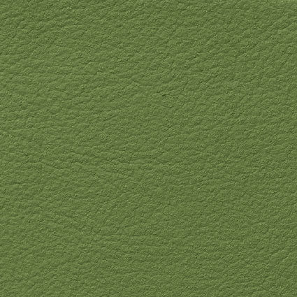 Nuvola Menta
