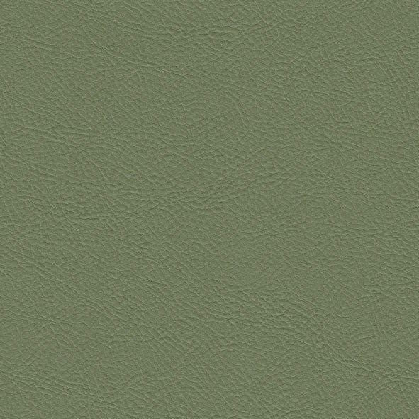 Pellan Ultimate Avocado