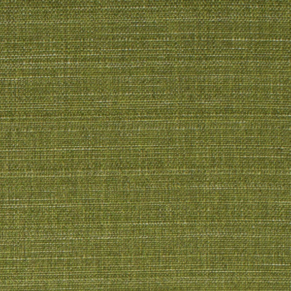 Raffia Olive