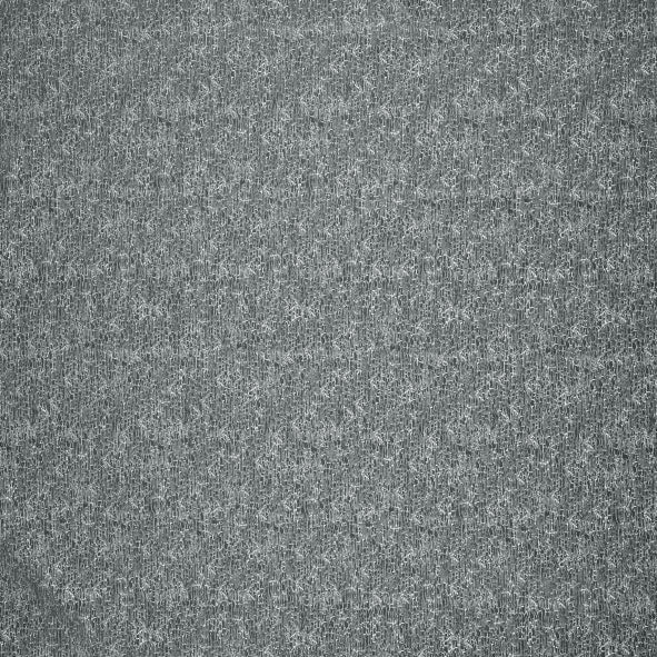 Rion Graphite