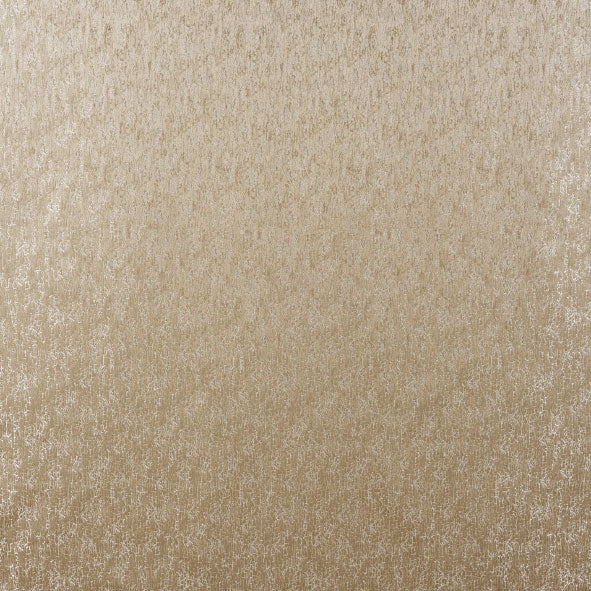 Rion Taupe