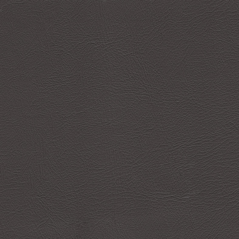 Studio Encore Bark