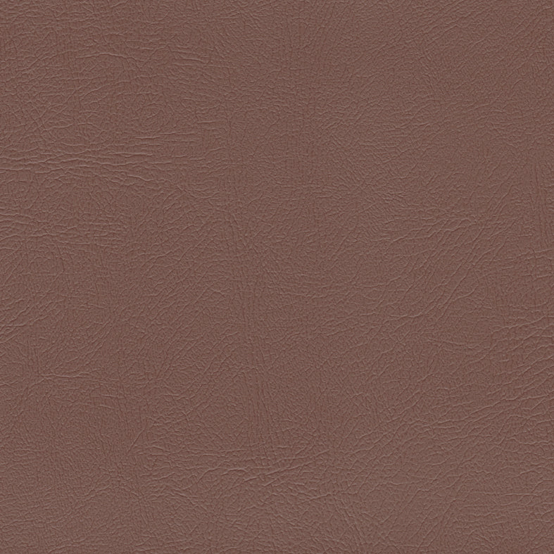 Studio Encore Cedar