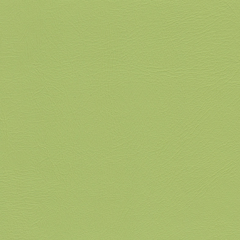 Studio Encore Citronelle