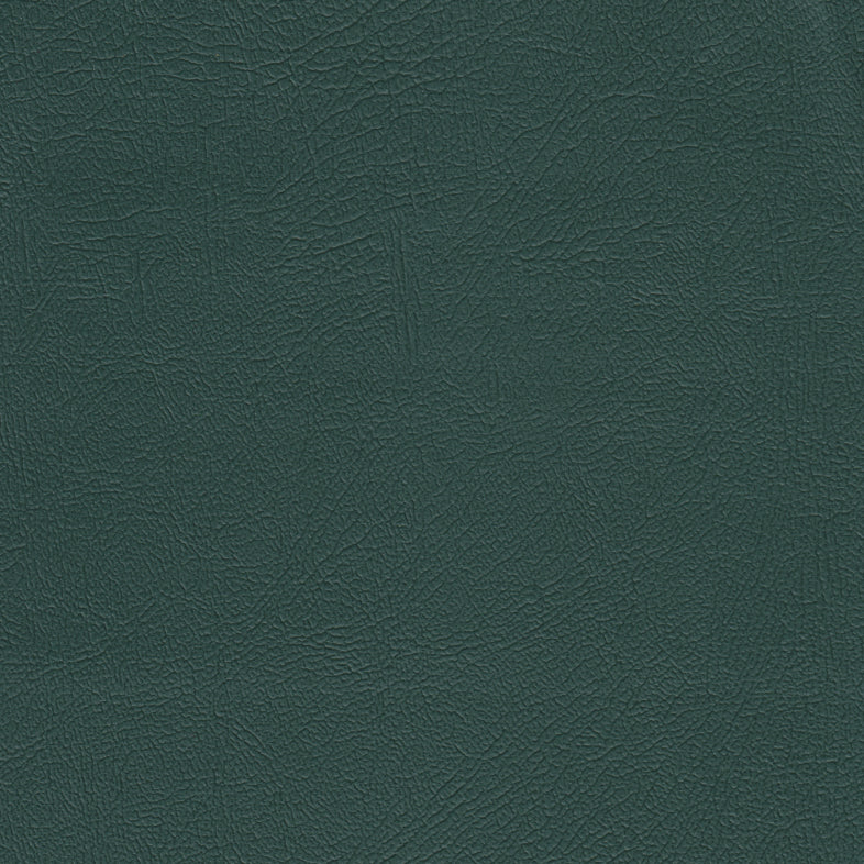 Studio Encore Forest