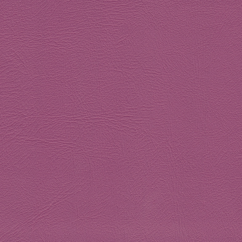 Studio Encore Primrose
