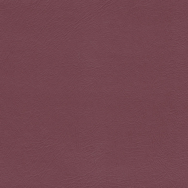 Studio Encore Rhubarb