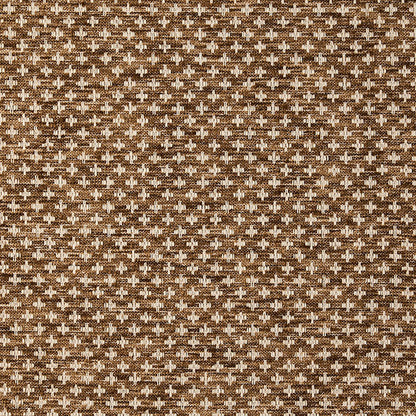 Arlo Caramel