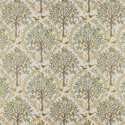 Bedgebury Lemon