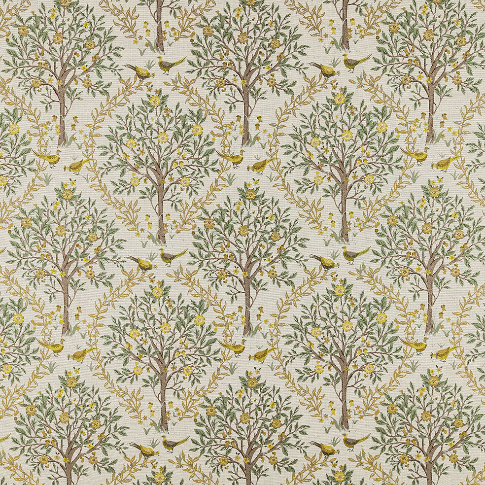 Bedgebury Lemon