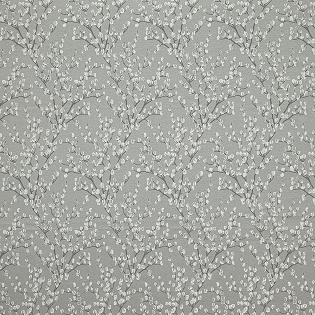 Berkeley Dove