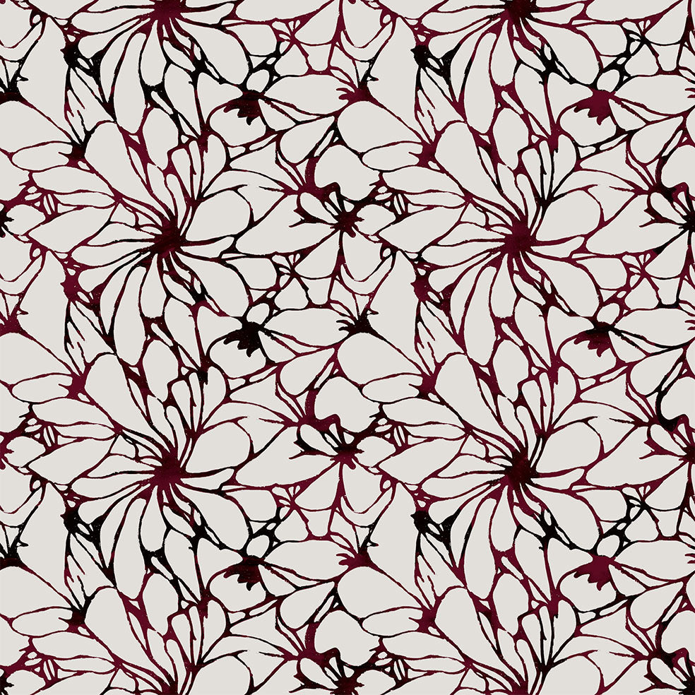Bloom Shiraz